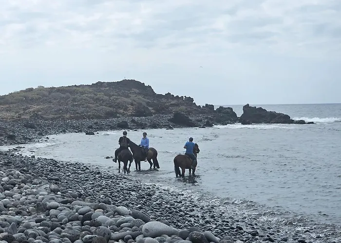 Golf Del Sur Duplex 아파트 산미겔데아보나